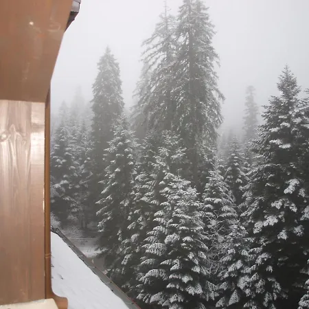 Forest View Borowec