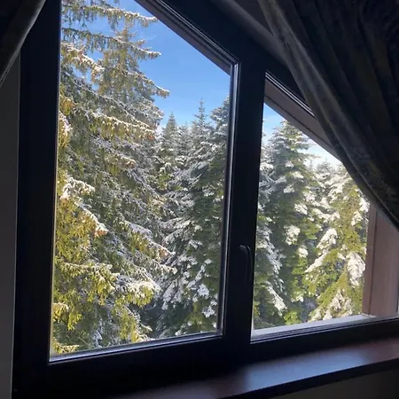 Forest View *