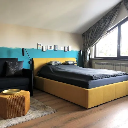 Forest View * Боровец