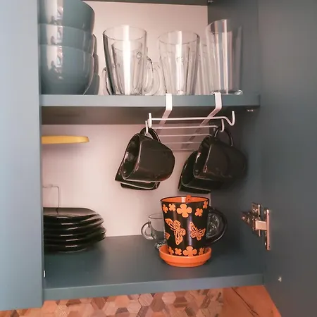 Forest View Боровец