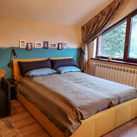 Forest View Apartament Borowec