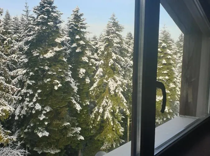 Forest View * Borovets