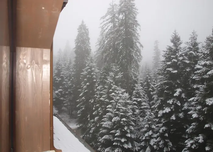 Forest View Borovets