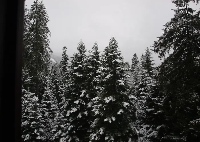 Forest View Appartamento *