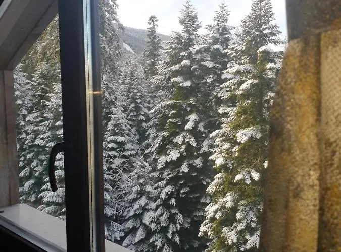 Forest View * Borovets